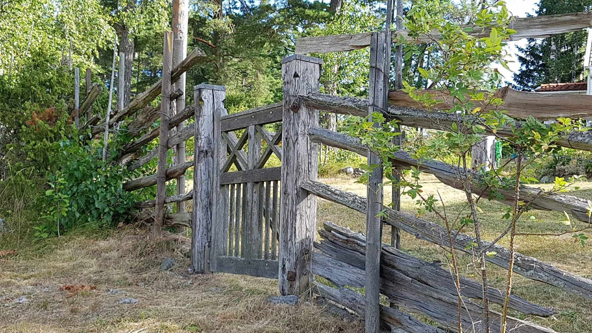 Hus med utsikt över havsvik, vissa veckor o dagar – bild 22 av 23