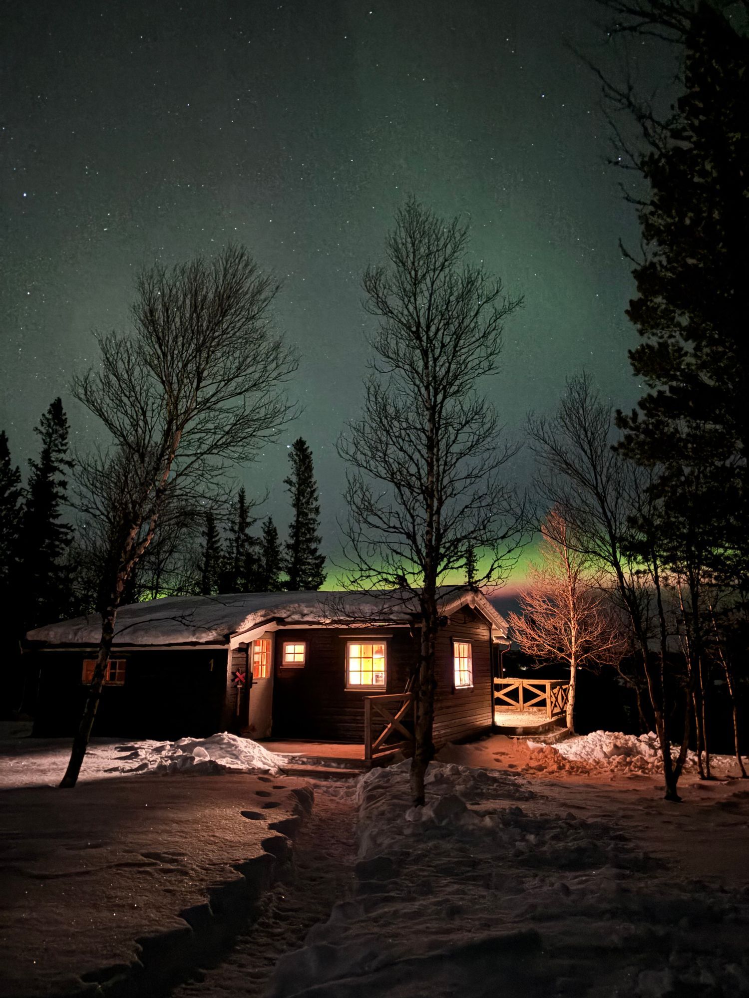 Nyrenoverad stuga i Jämtlandsfjällen, Snasahögarna – bild 23 av 24
