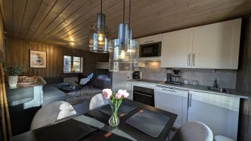 Cozy mountain cabin in Hundfjället.