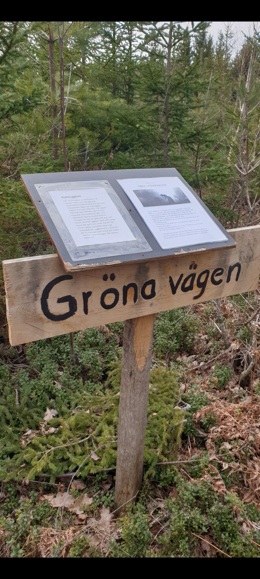 Vår lilla stuga. Hit kan hunden följa med – bild 13 av 22