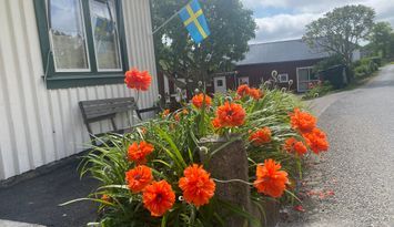 Trivsamt hus på Hamburgö