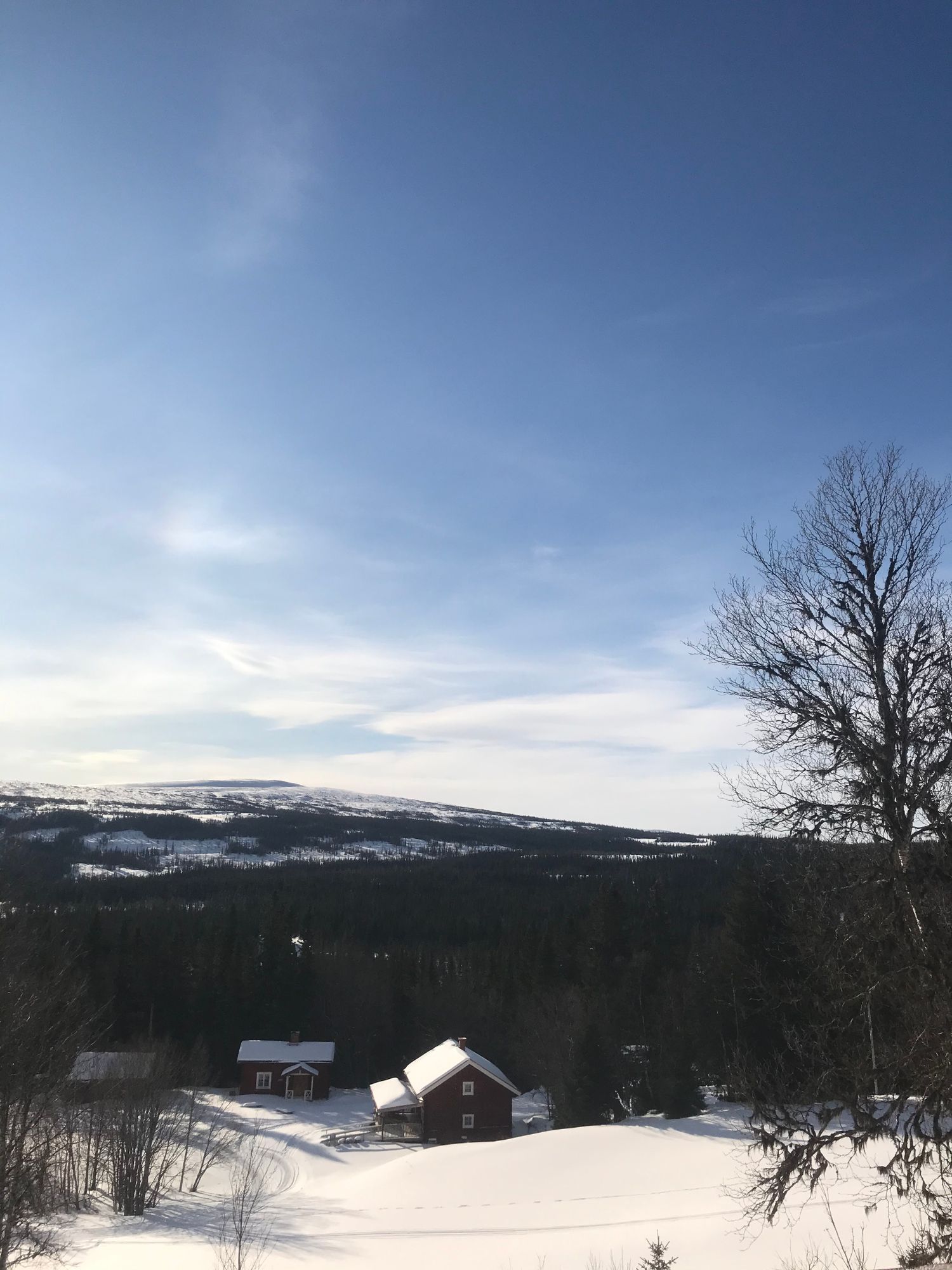 Nyrenoverat radhus med fantastisk utsikt! – bild 16 av 19