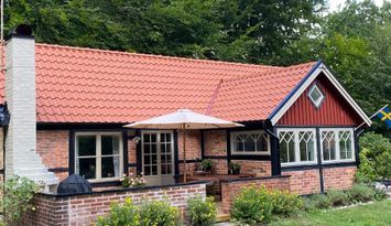 Liten skogsoas i Södra Lökaröd