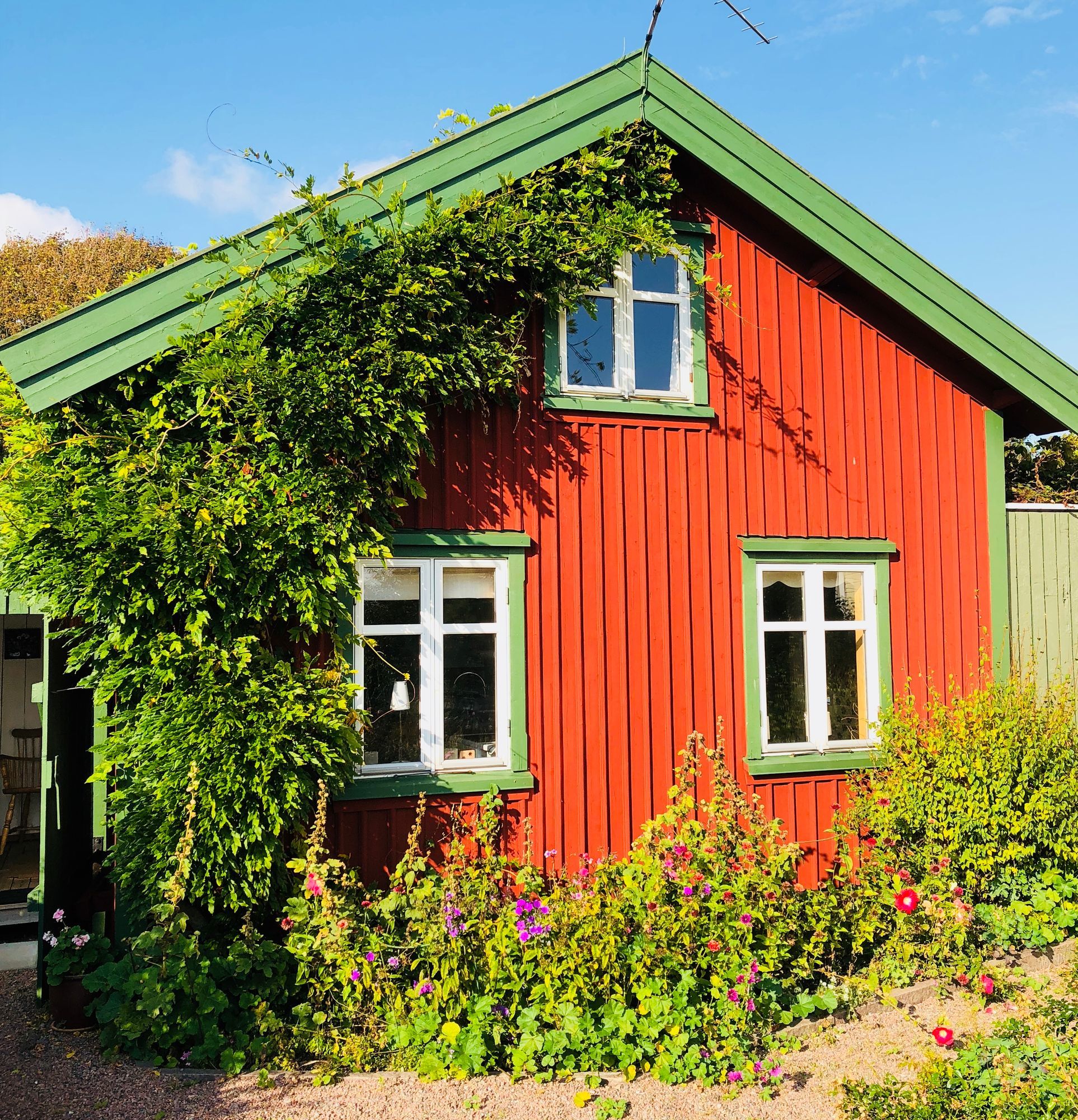 Blomsterparadis vid havet!
