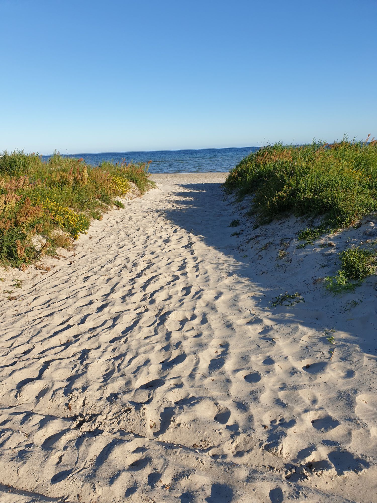 Öland Köpingsvik, Lufsan 3 – bild 12 av 13