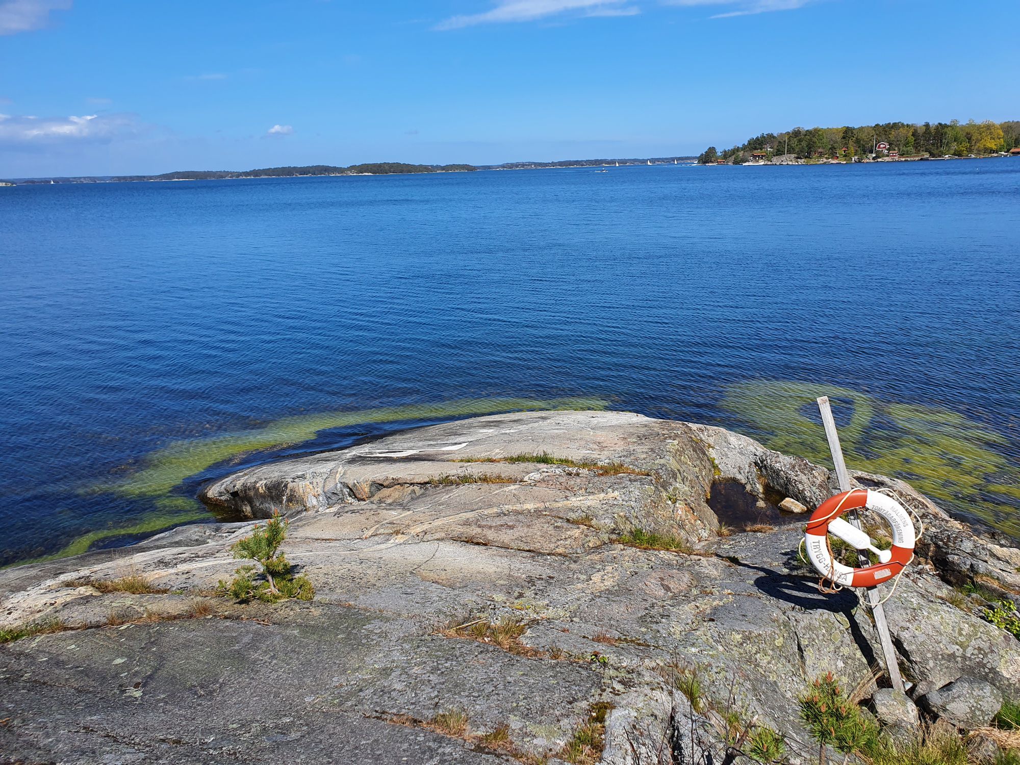 Stuga med egen tomt nära havet – bild 19 av 20