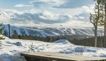 Nyrenoverat, västervy granne med naturen (Böv)