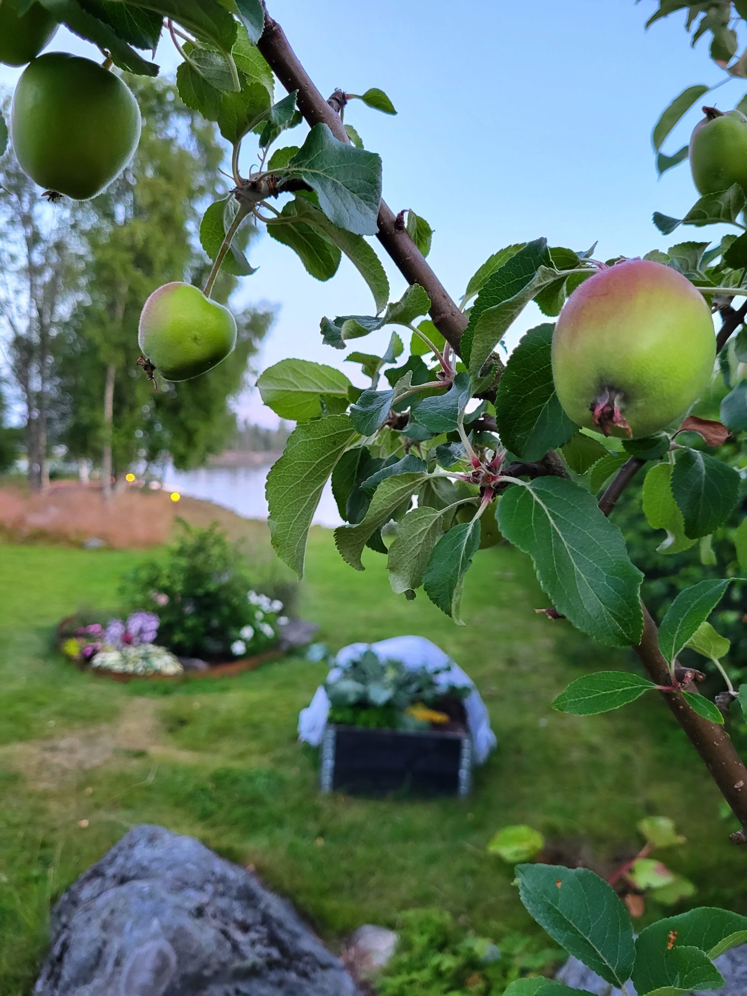 Sommarstuga vid Umeälvens mynning – bild 9 av 12