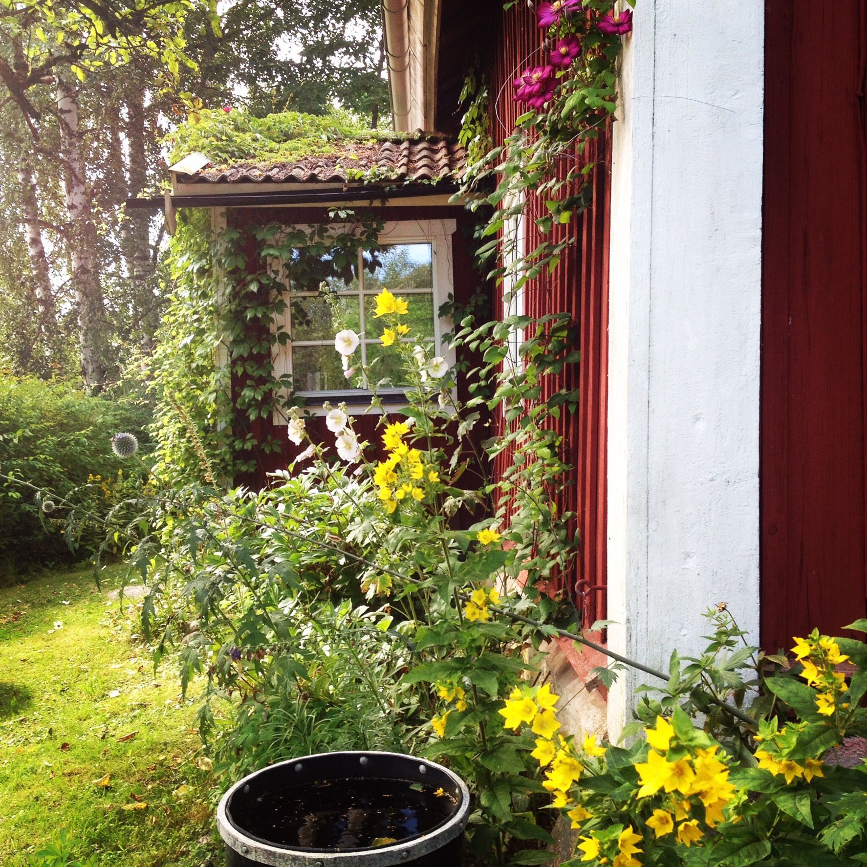 Torp i Sörmland – bild 4 av 24