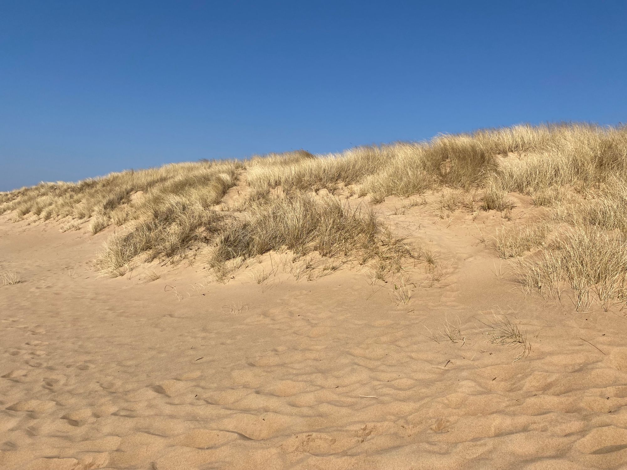 Strandnära stuga i Skummeslövsstrand – bild 23 av 24