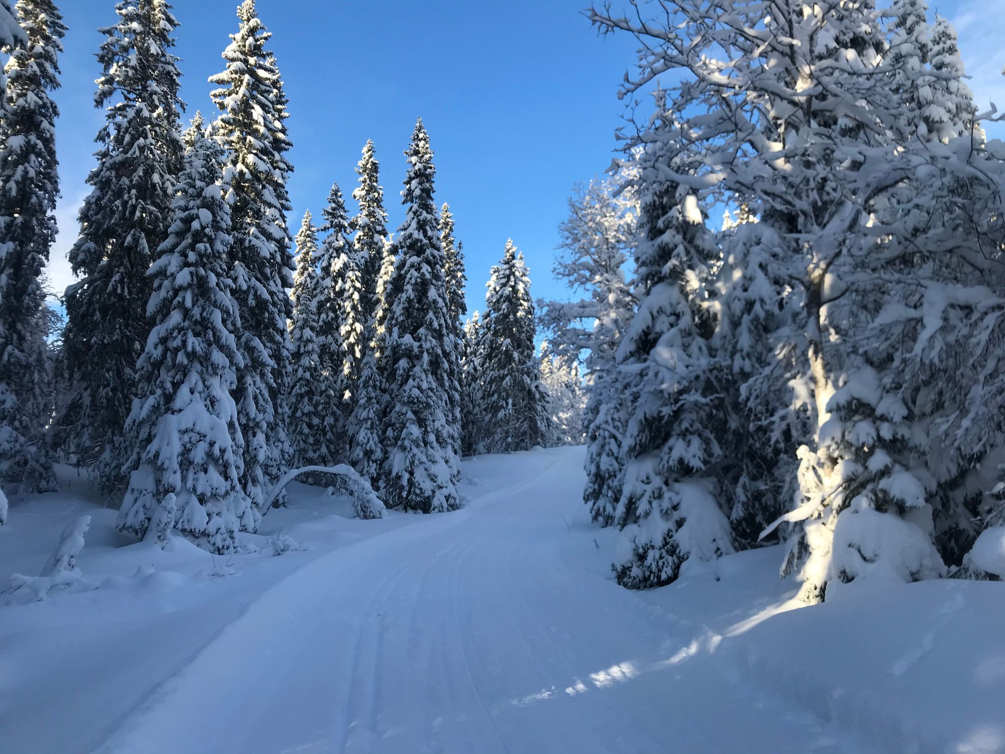 Vårt Paradis i Edsåsdalen! – bild 11 av 13
