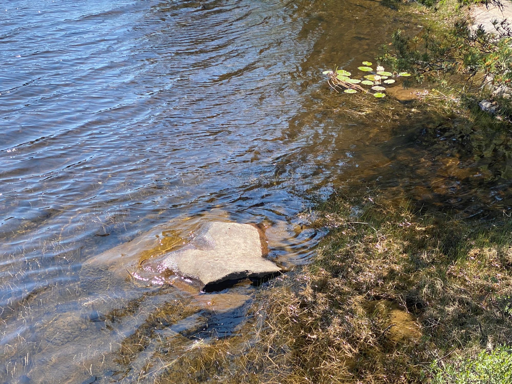 Idyllisk sommarstuga mitt i naturen vid sjökanten – bild 19 av 24