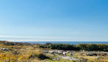 Alf Hambes villa 450m ifrån havet i Steninge
