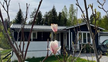 Modernt fritidshus i lantlig sommaridyll