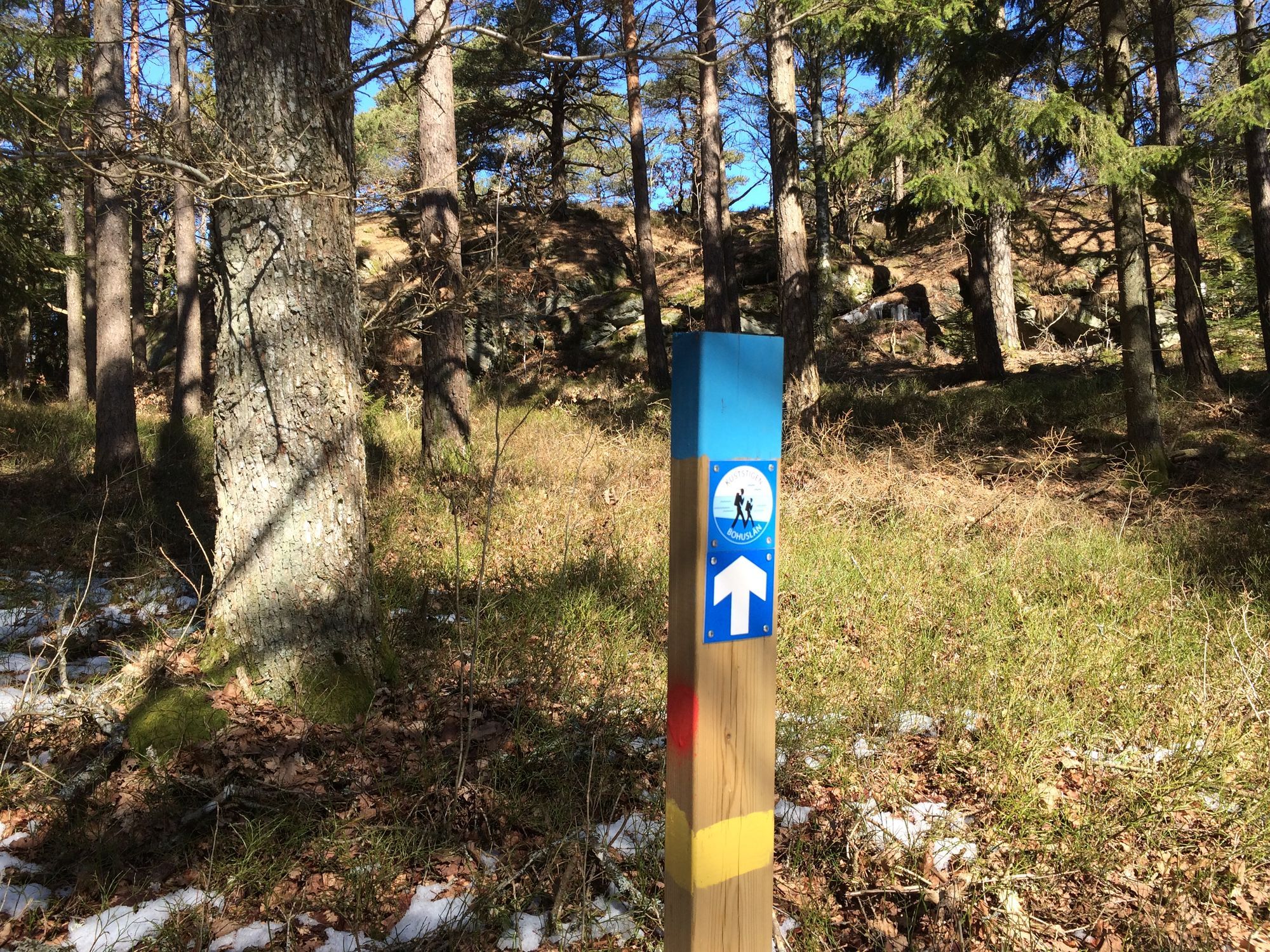 Stuga, Orust, Bohuslän, lugnt läge, skog, havsnära – bild 16 av 23