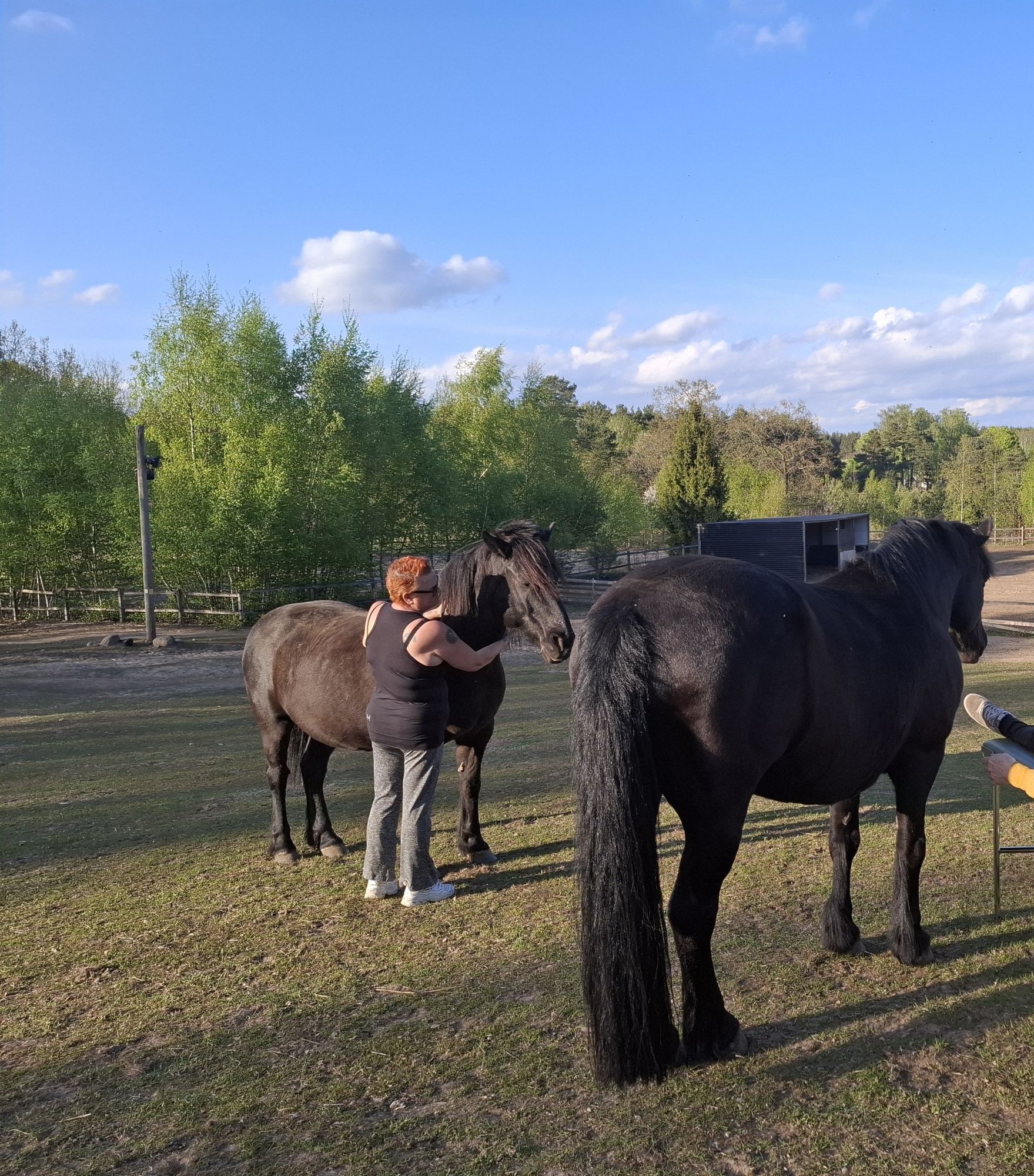 Mysig stuga i naturidyll – bild 12 av 17