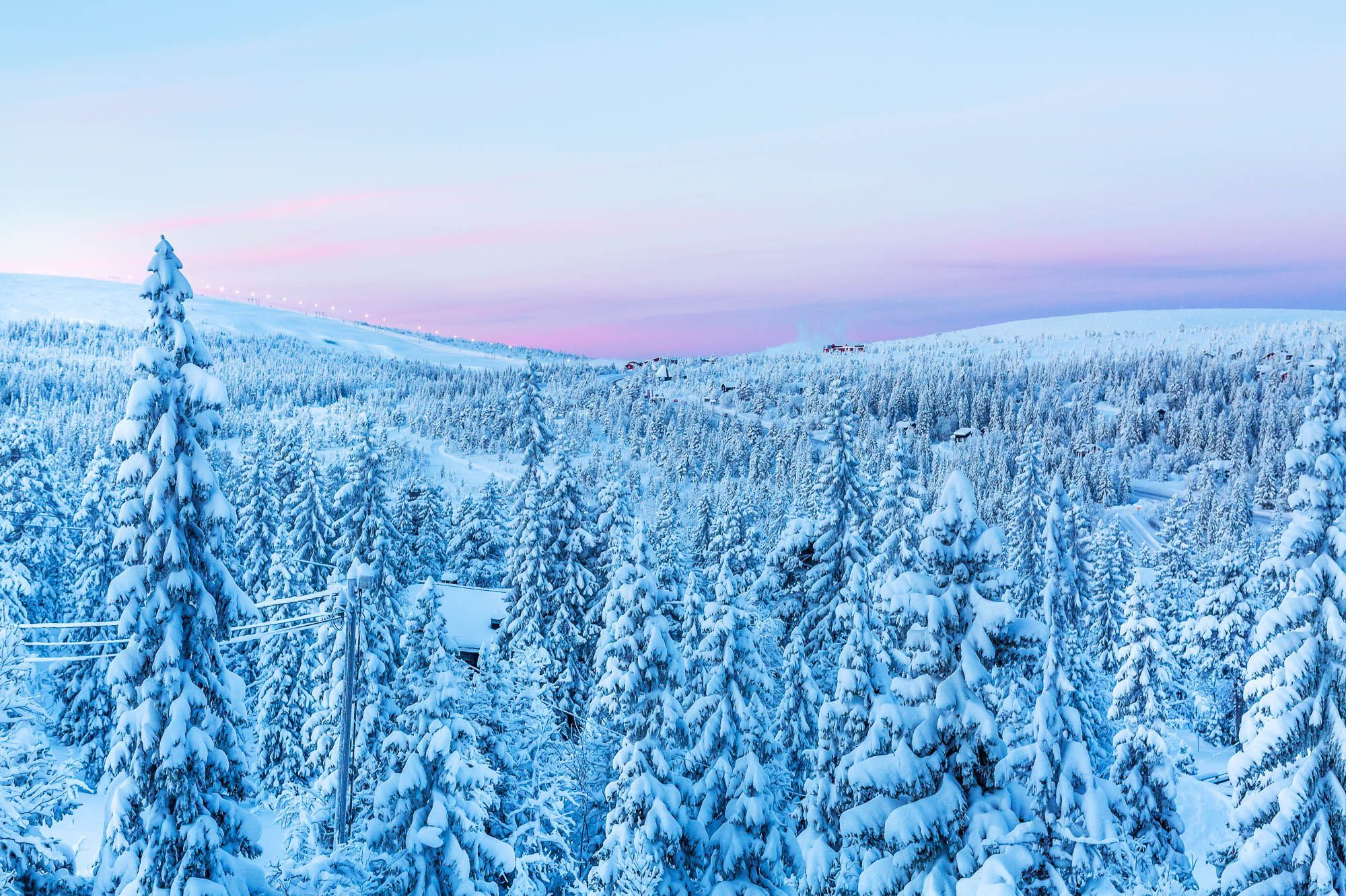 Välkommen till Sälengodset – bild 17 av 24