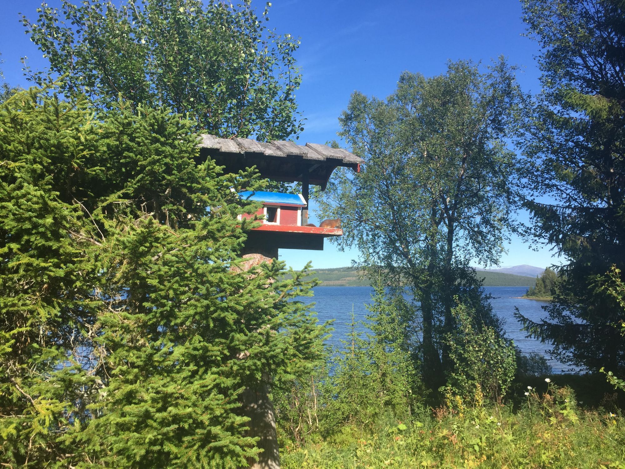 Mysig stuga, Åre Tångböle – bild 19 av 19