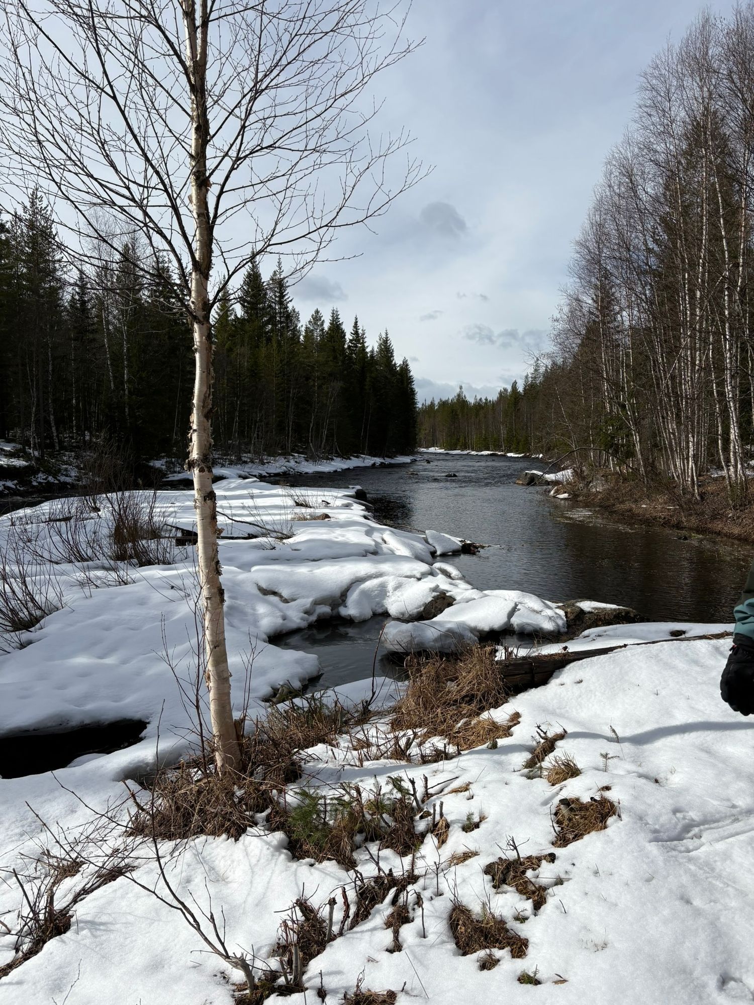Stuga vid Fejmån - nära Kläppen, Sälen & fjället – bild 13 av 14