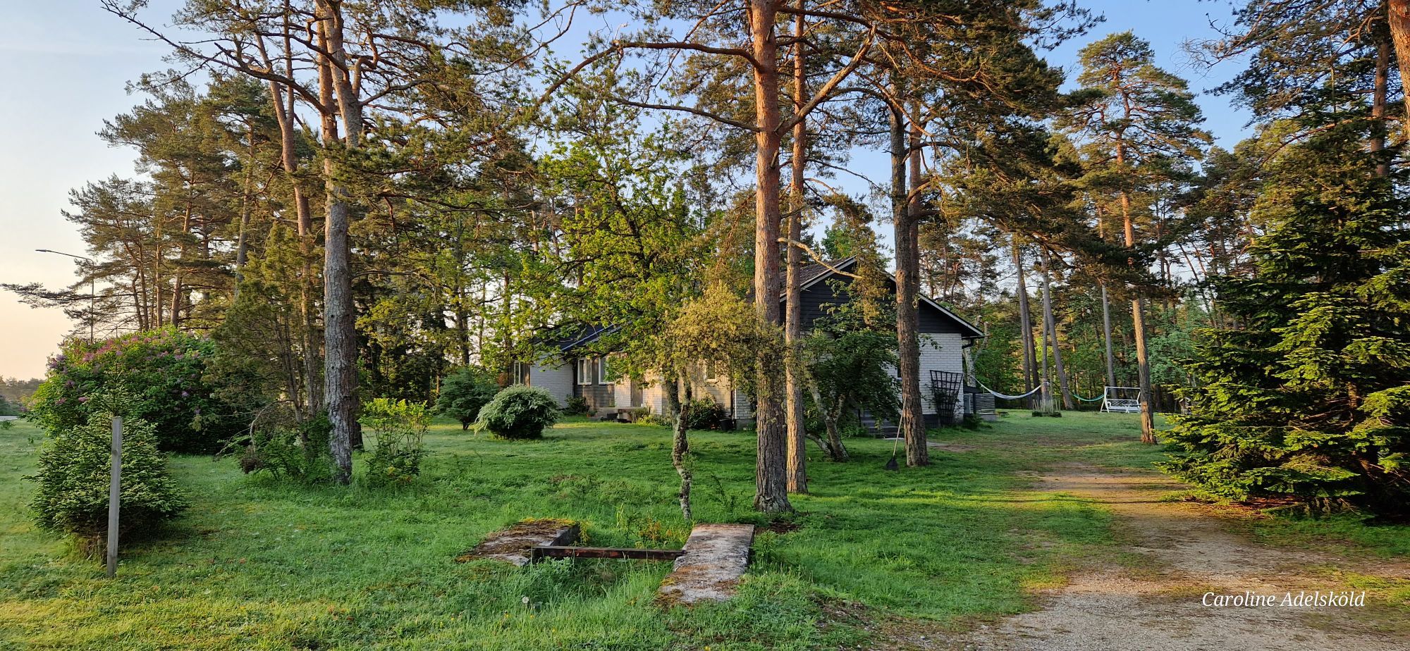 Välkomna att hyra vårt hus i sommar 🌞🥰