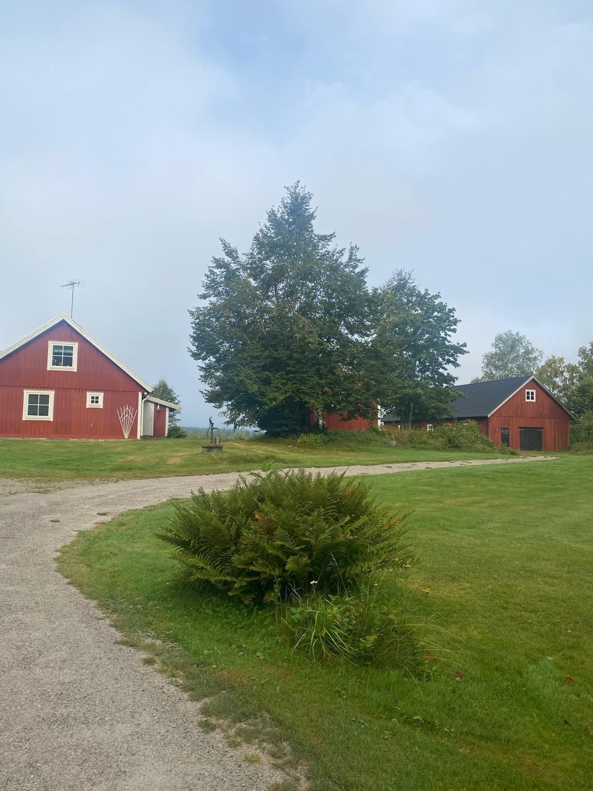 Mysigt hus i avskilt läge med utsikt över sjö. – bild 5 av 15