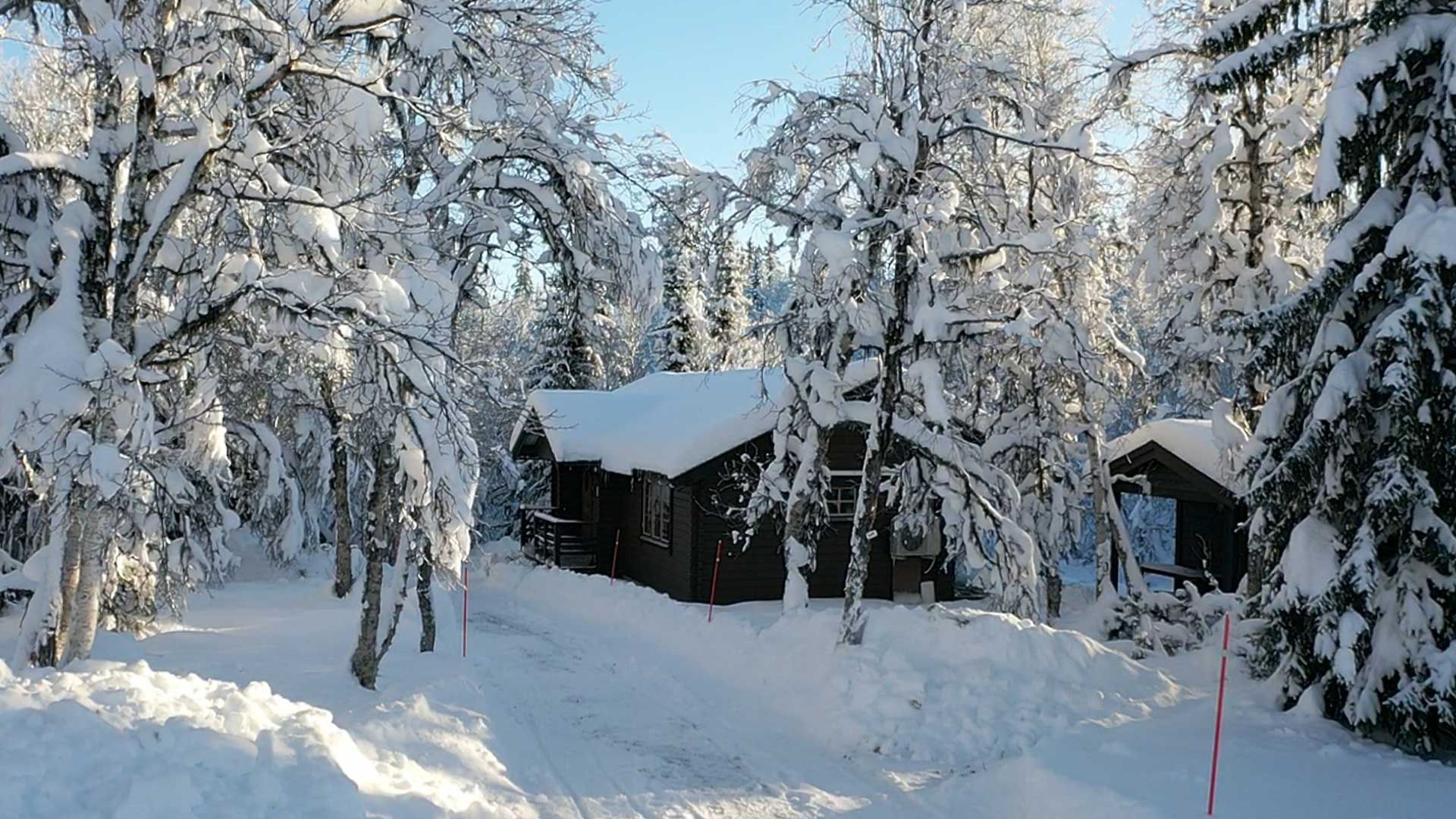 Mysig fjällstuga i Messlingen, Funäsfjällen