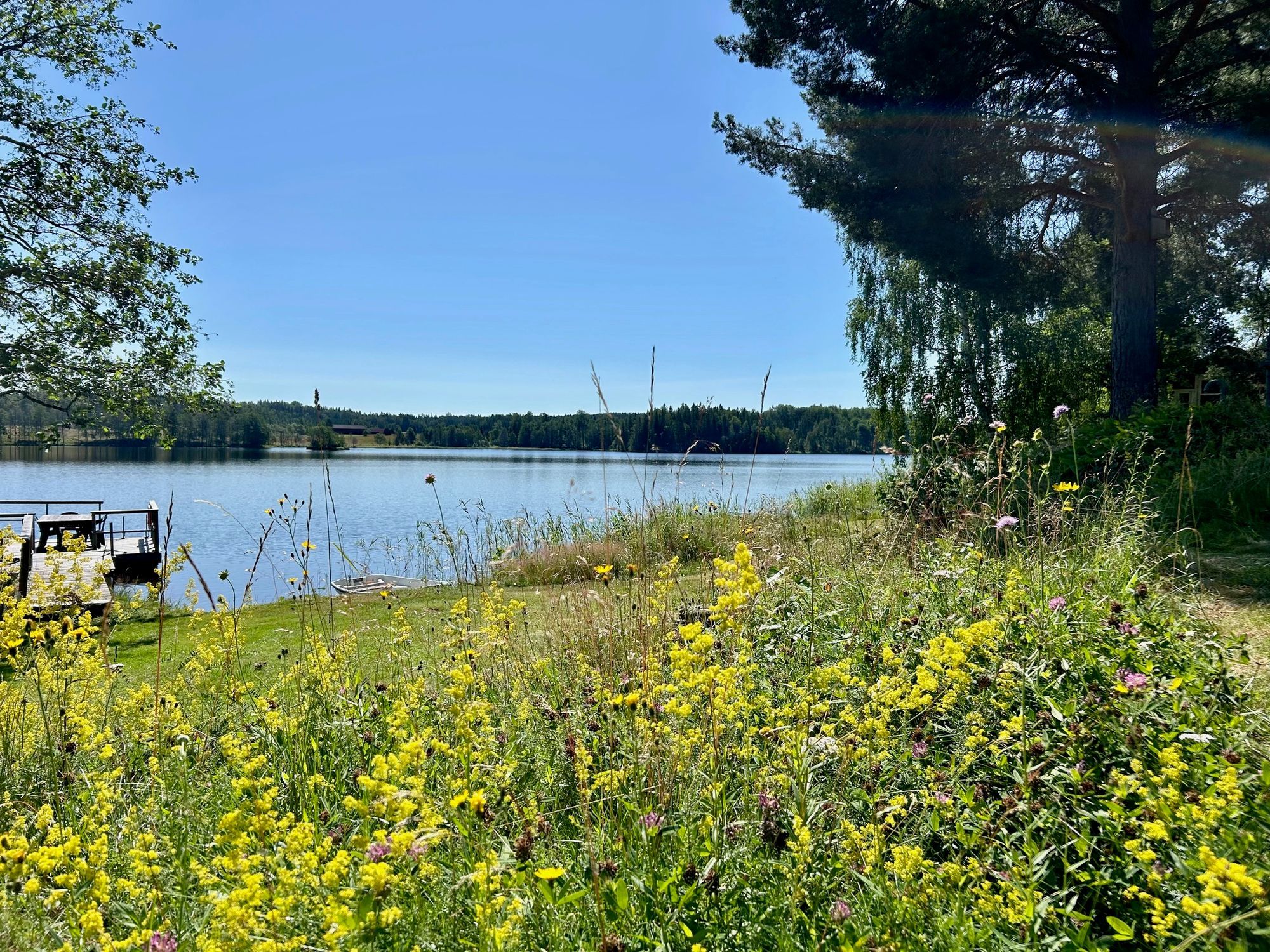 Mysig sjöstuga vid Långsvan – bild 12 av 23