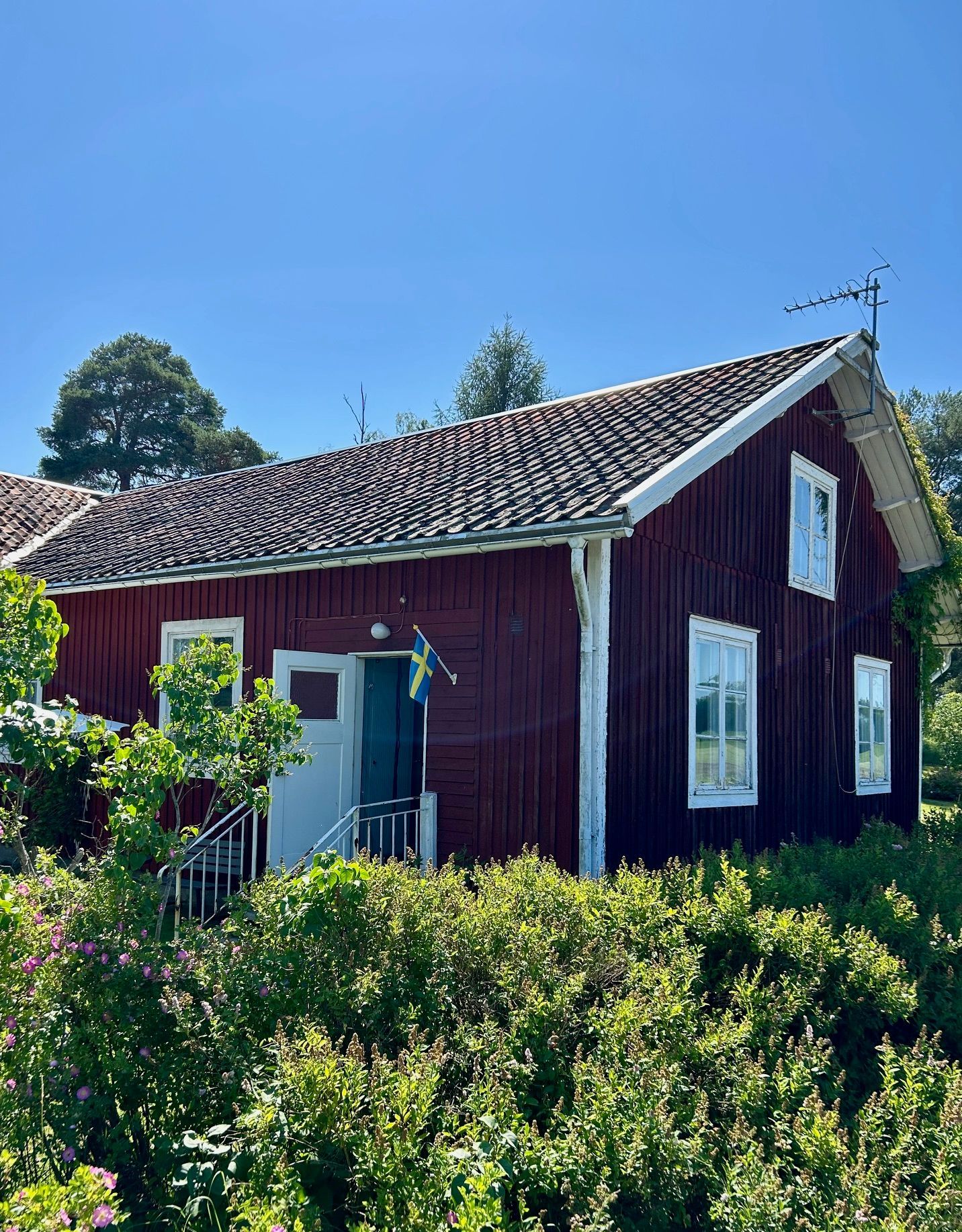 Mysig sjöstuga vid Långsvan – bild 2 av 23