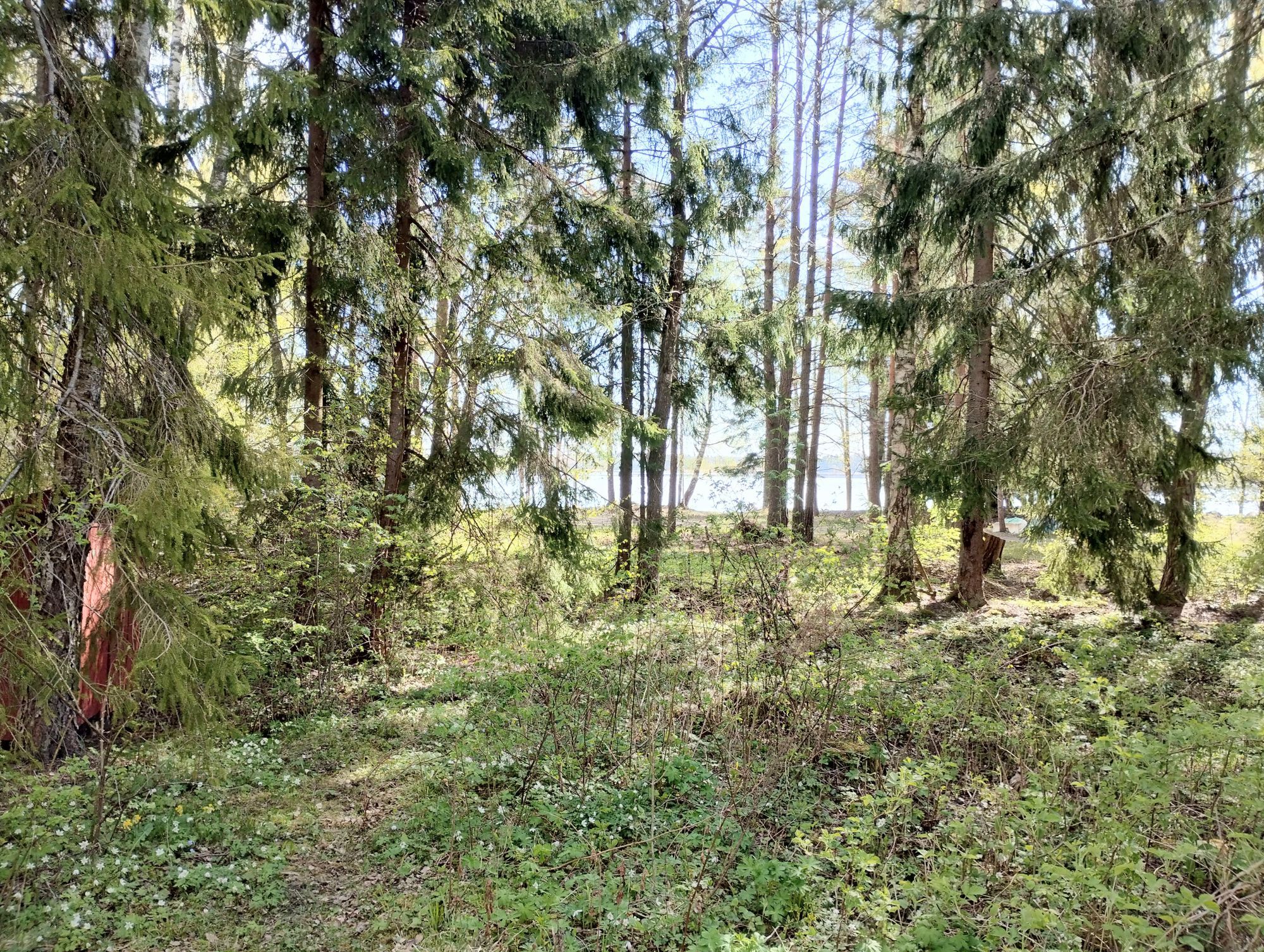 Litet och enkelt torp med utsikt över Granfjärden – bild 12 av 12