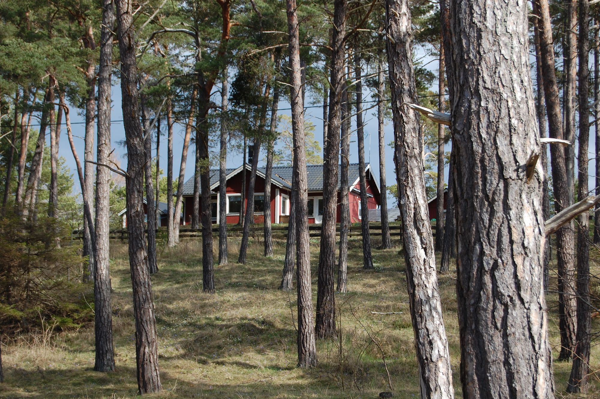 Fritidshus i Djupvik på Ekstakusten på Gotland – bild 4 av 13