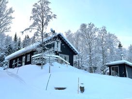 Big family cottage to chill out in bare mountain