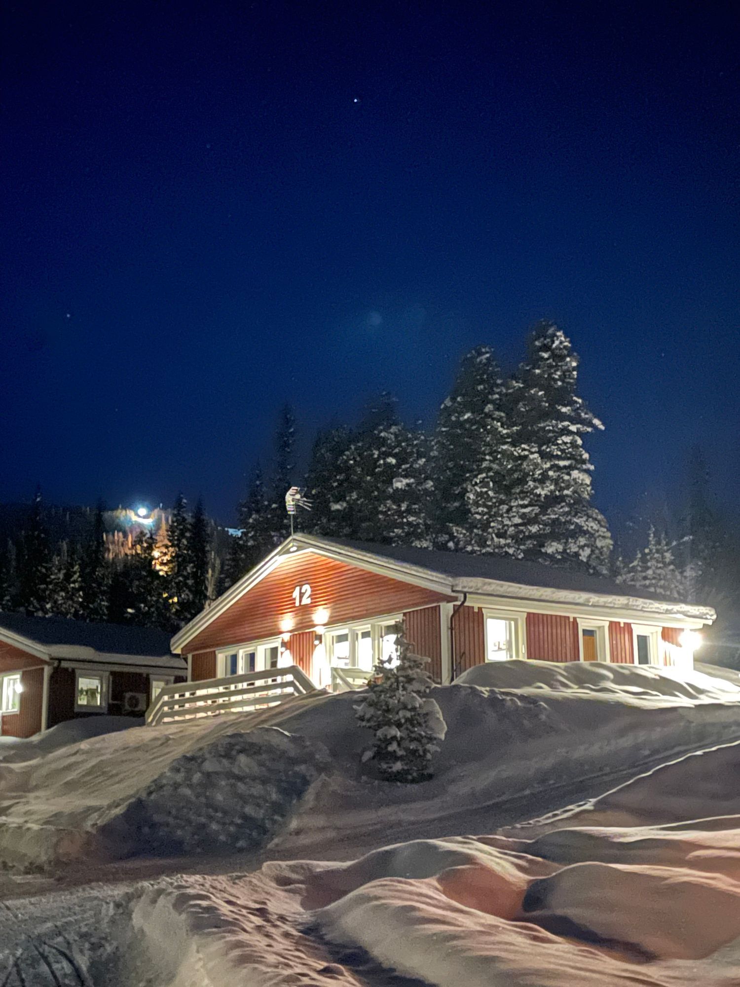 Fjällstuga med ski in Ammarnäs