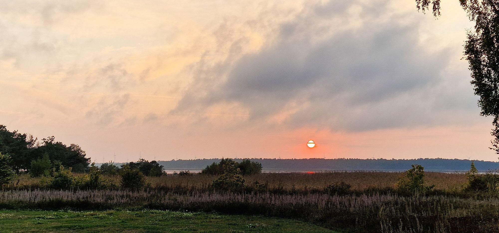 Fint i Fidenäs – bild 18 av 24