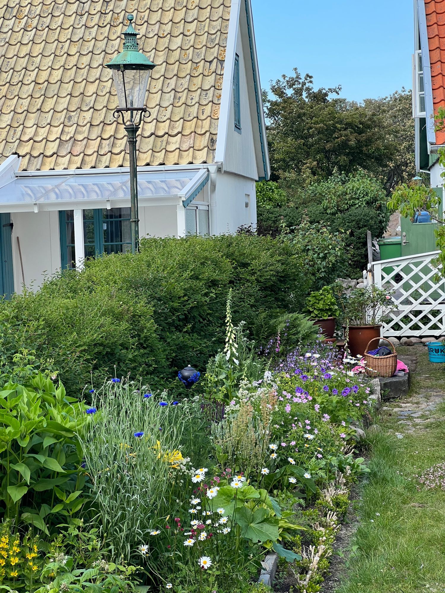 Charmigt gathus nära havet – bild 18 av 22