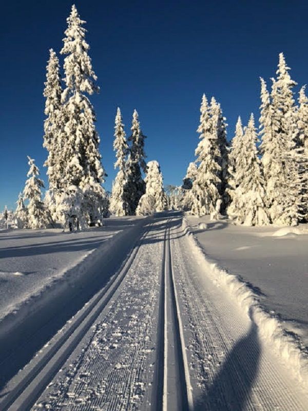 Tandådalen, bastu, braskamin, Wifi, laddbox – bild 20 av 23