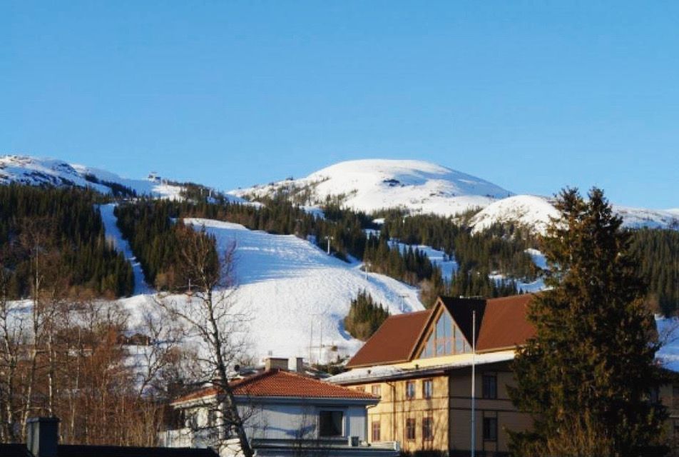 Välutrustad stuga mitt i Duved, Åre – bild 24 av 24
