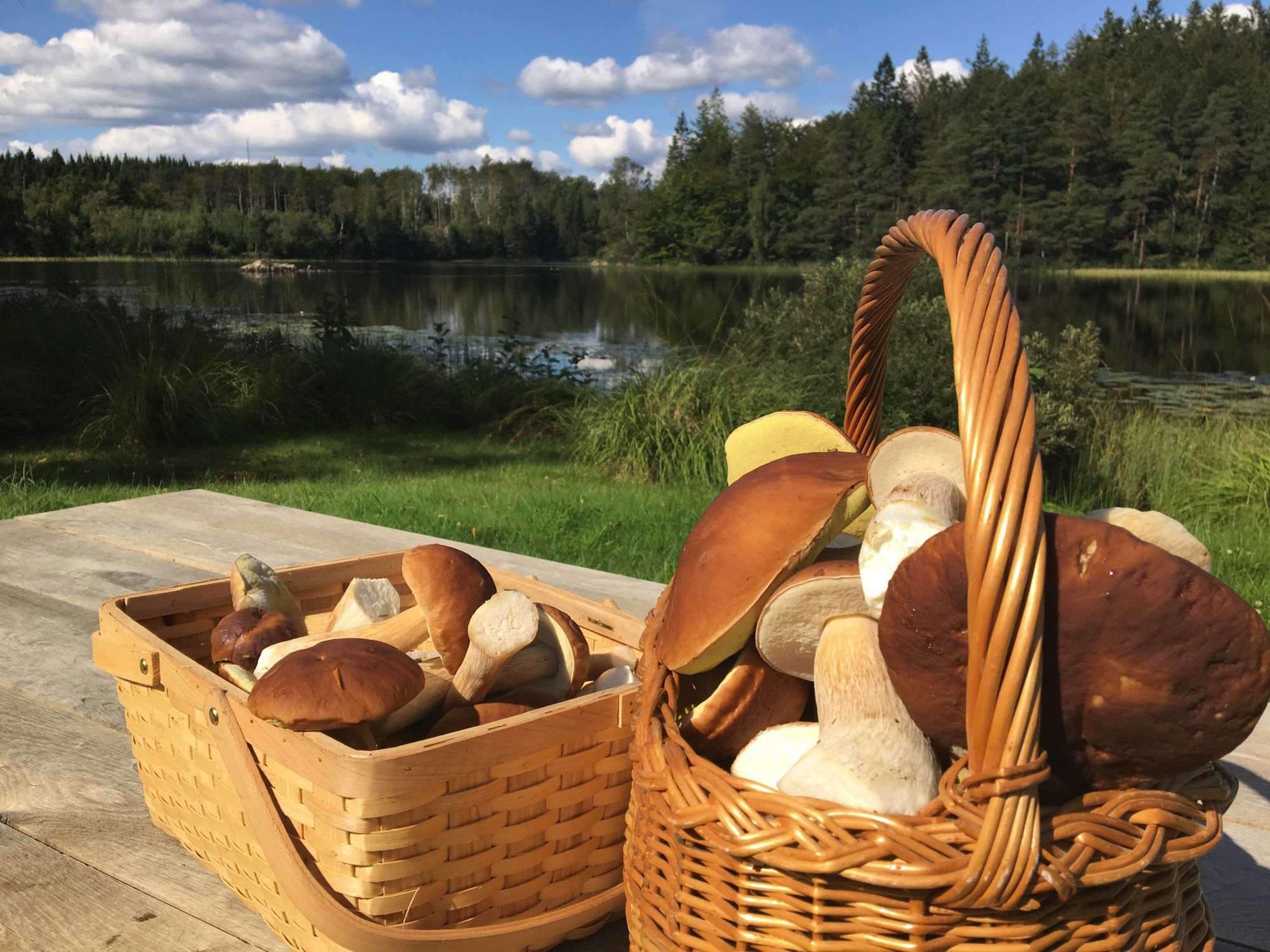 Charmigt hus med sjötomt i naturskön omgivning – bild 4 av 24