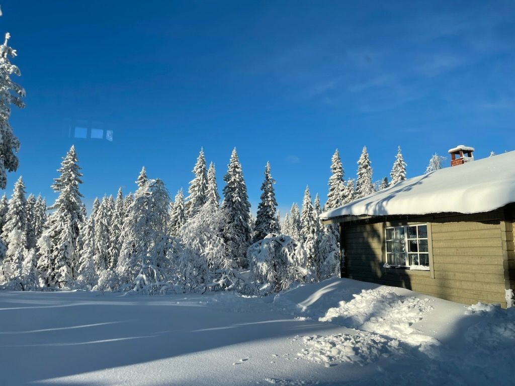 Två stugor i Hemfjällstangen – bild 4 av 8
