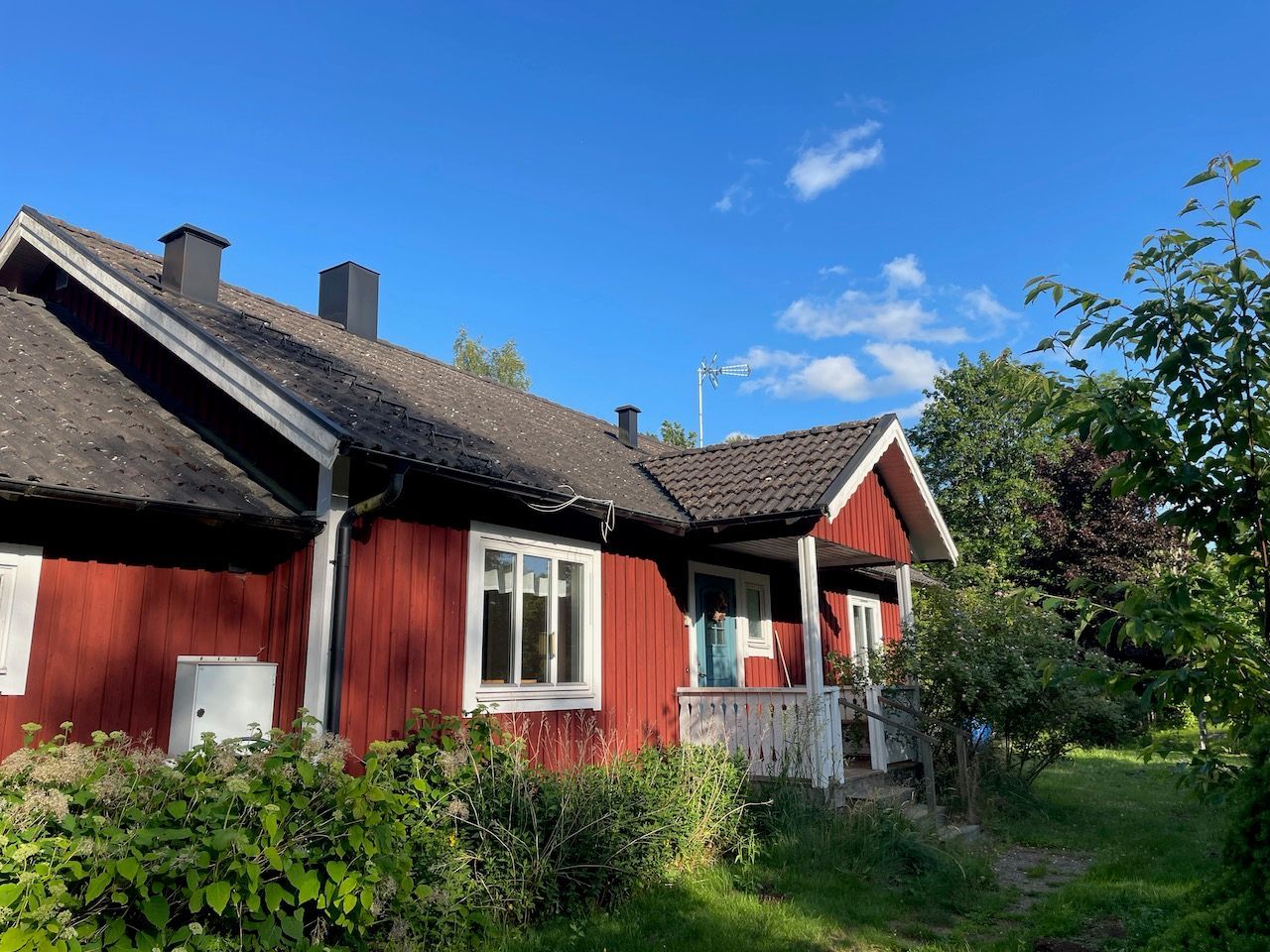 Enskilt vid skogen