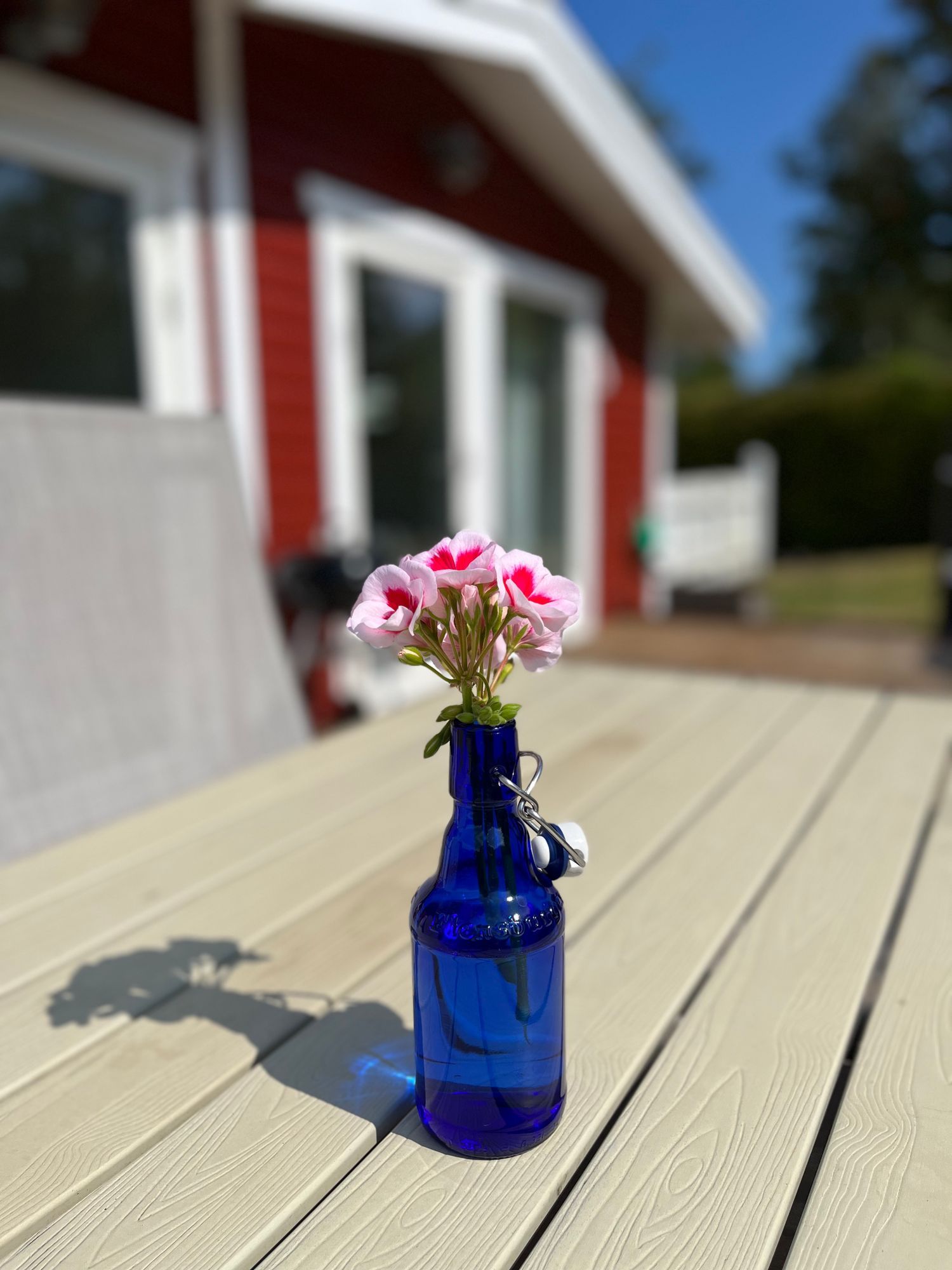 Mysig och fräsch stuga med insynsskyddad tomt – bild 6 av 19