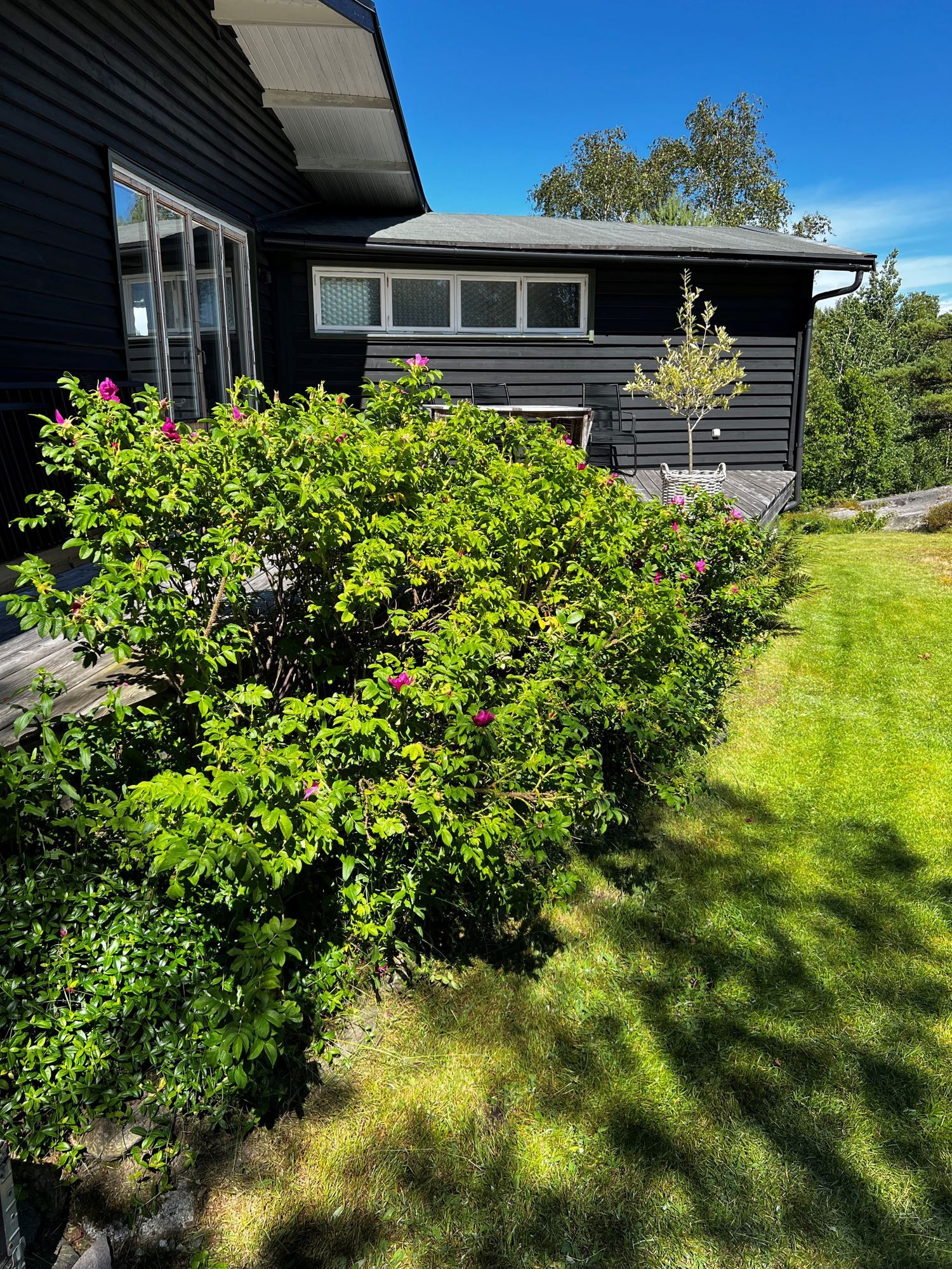 Charmig sommarstuga i populära Lalleröd, Orust – bild 5 av 15