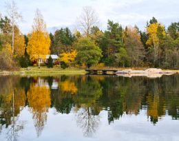 Gräsö - stuga på vacker havstomt