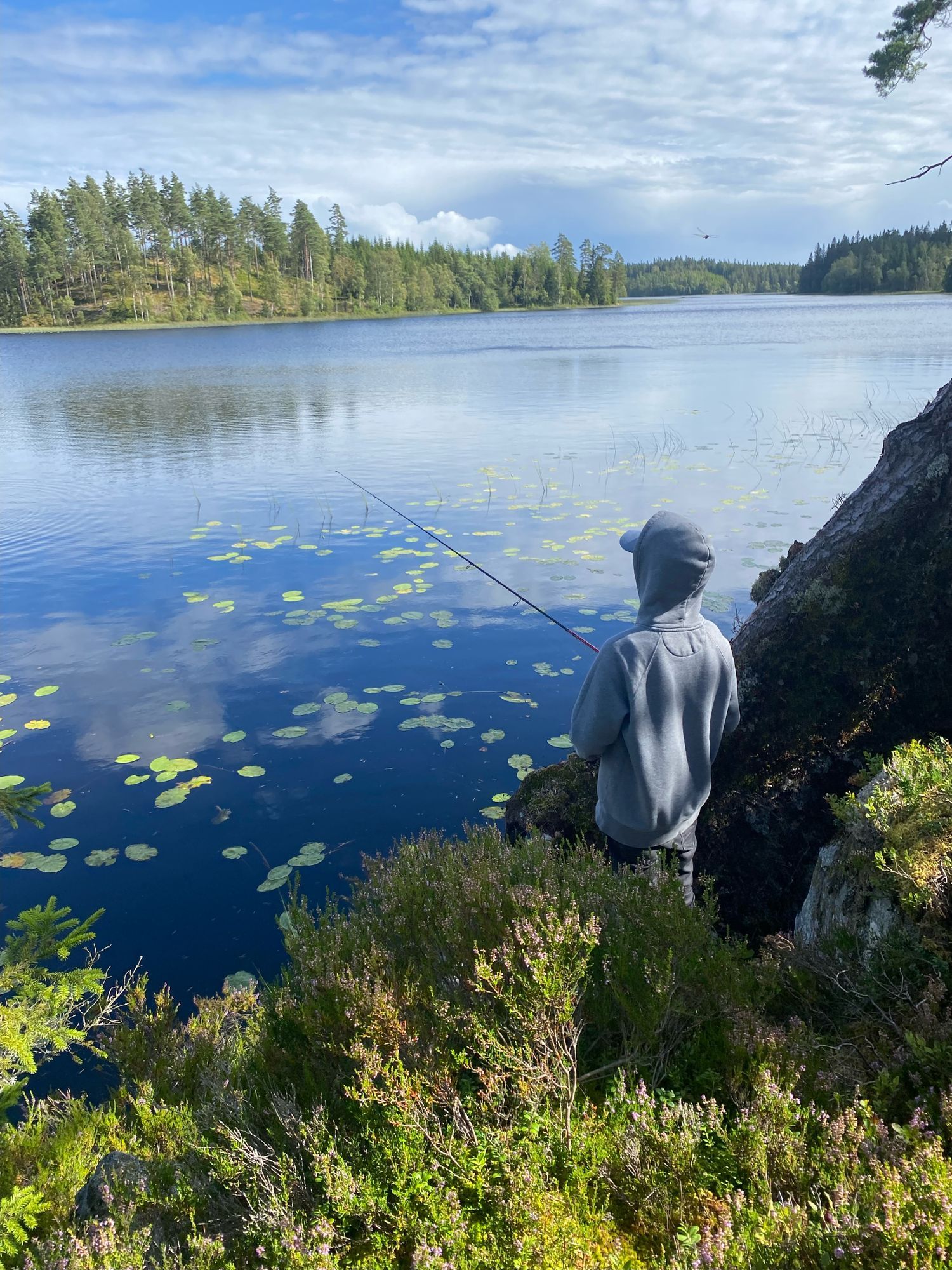 Charmig stuga i rofylld miljö i Kalvsås. – bild 14 av 18
