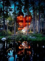 Incredible treehouse on a private island !