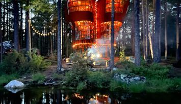 Otroligt trädhus på en privat ö!