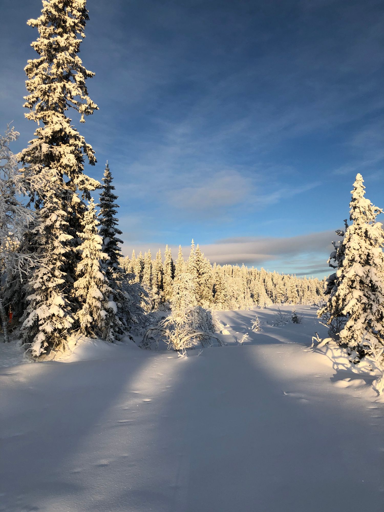 Genuin fjällstuga med bästa läget. – bild 20 av 21