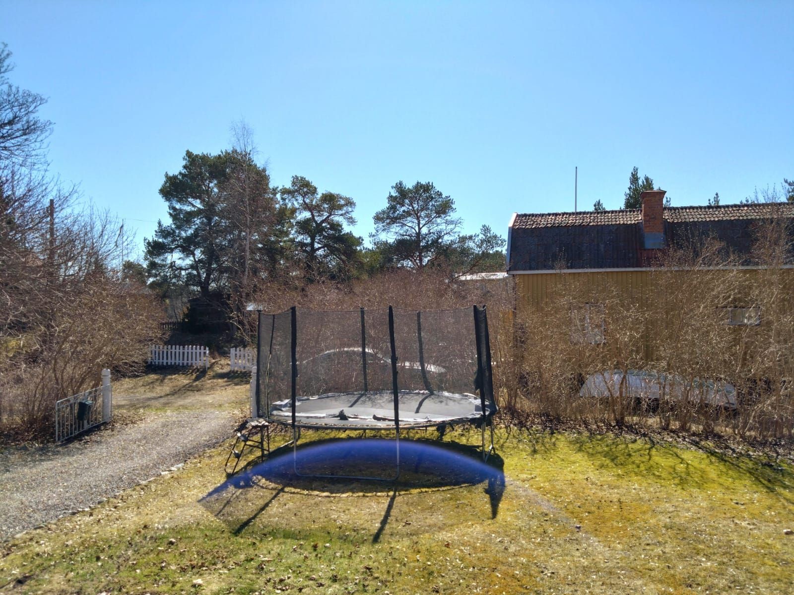 Sommarhus vid havet och Tallparken i Öregrund – bild 11 av 14