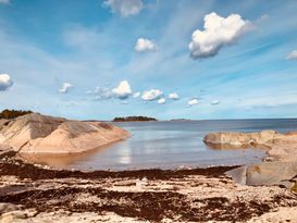 Sommarhus vid havet och Tallparken i Öregrund