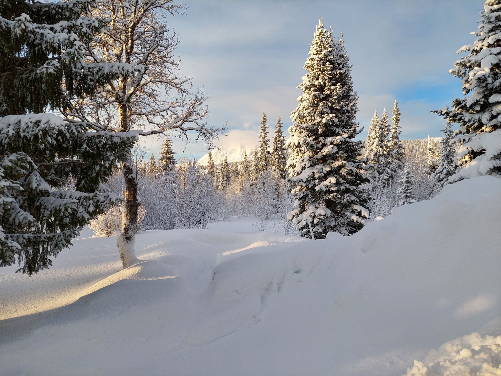Charmig Stuga på Orrvägen 606 i Borgafjäll – bild 3 av 6