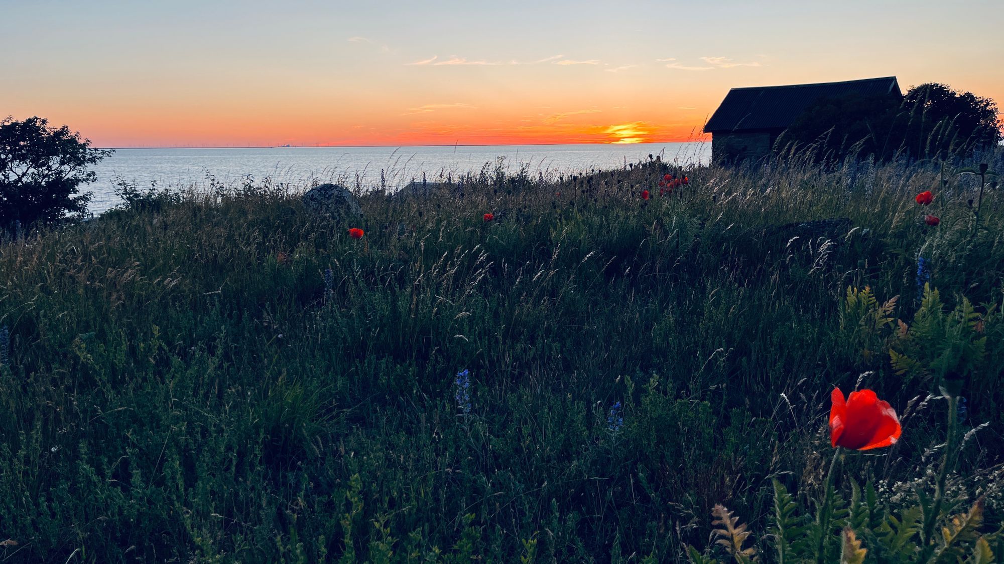 Sommardrömmen vid havet – bild 2 av 5